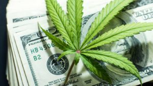 30 Marijuana Stocks to Buy as the Future Turns Green
